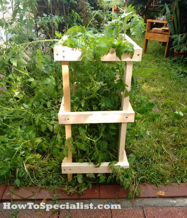 How-to-build-a-tomato-cage