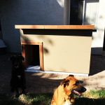 How-to-build-a-XXL-dog-house