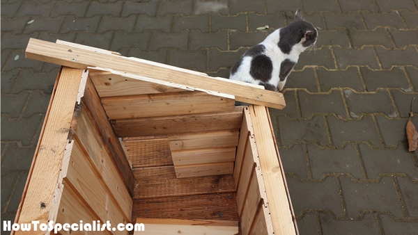 Fitting-the-interior-wall-slats-to-the-cat-house