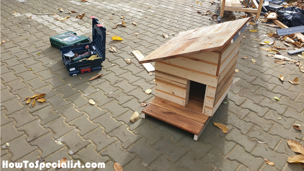 How-to-build-a-cat-house-with-insulation