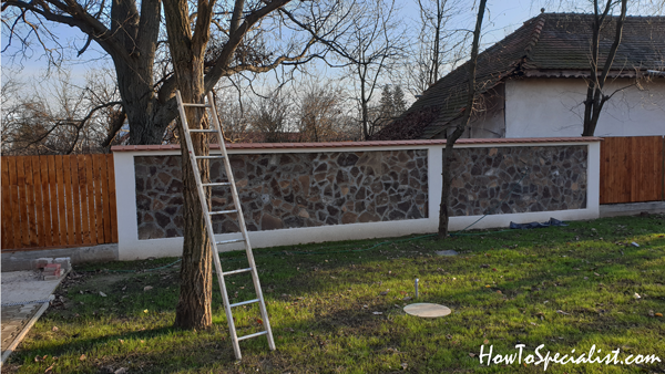 Ladder-on-tree