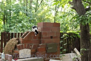 Brick chimney for pizza oven