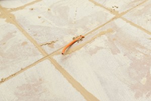 Removing grout excess