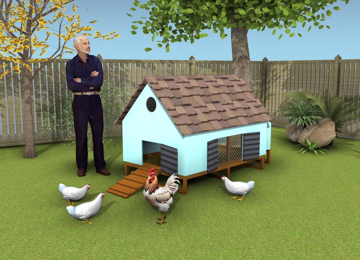 Simple chicken coop plans