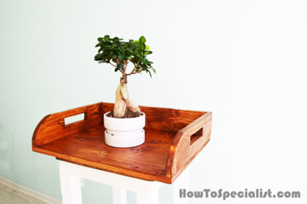 DIY Wood Potting Tray