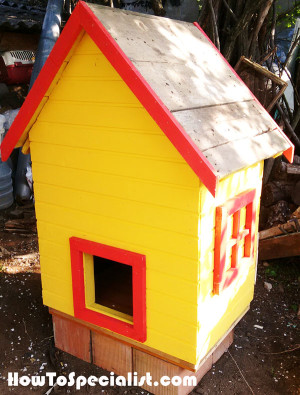 How to build an insulated chicken coop HowToSpecialist 