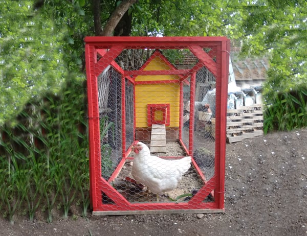 DIY-Chicken-Coop