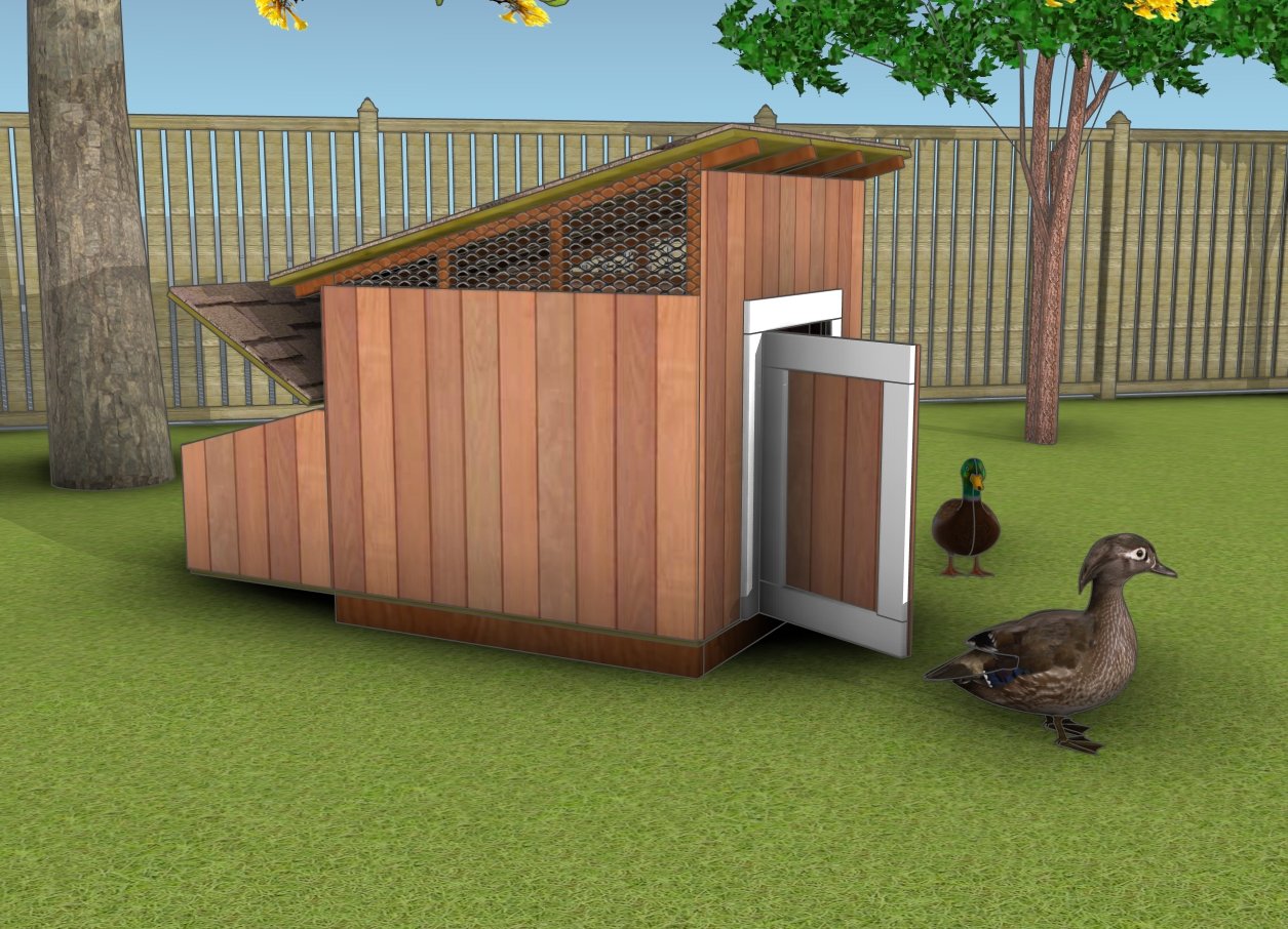 DIY duck coop plans