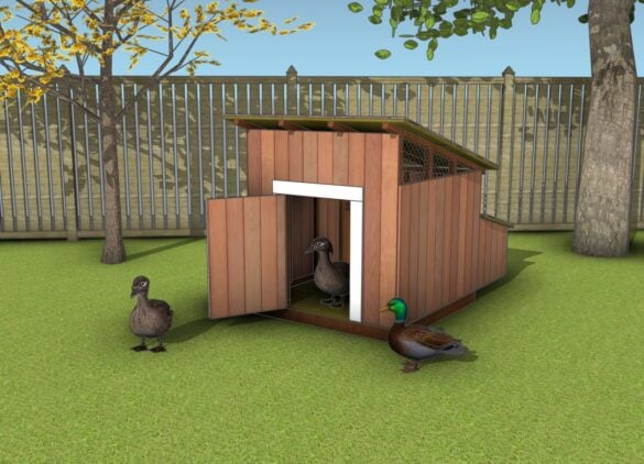 Duck coop - free plans