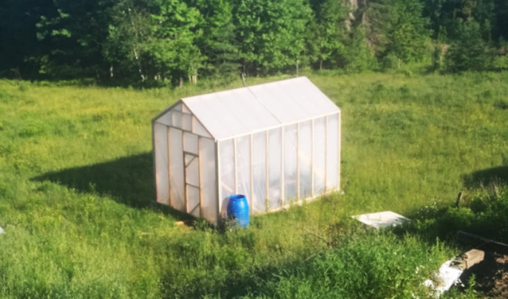 DIY-10x16-Greenhouse