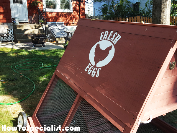 How-to-build-a-chicken-coop - How To BuilD A Chicken Coop