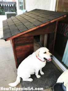 How-to-build-an-extra-large-dog-house