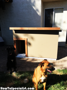 How-to-build-a-XXL-dog-house