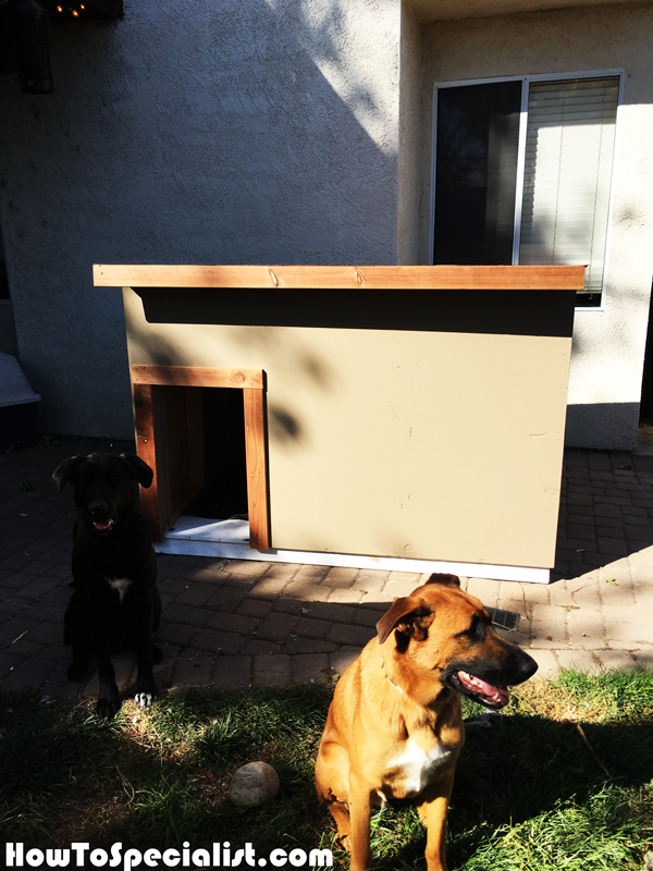 DIY XXL Dog House HowToSpecialist - How to Build, Step 