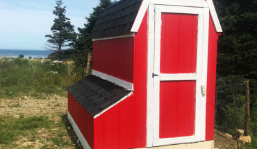 Building-a-barn-chicken-coop