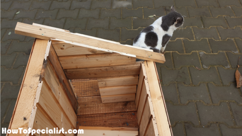 How To Build An Insulated Cat House Howtospecialist How To Build