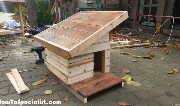 How-to-build-an-insulated-cat-house