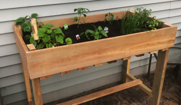 DIY-Easy-elevated-planter