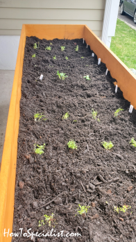 DIY Vegetable Trug Planter | HowToSpecialist - How to Build, Step by ...