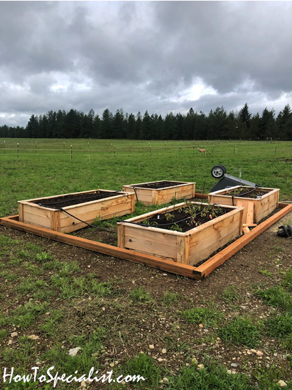 diy-project-12x16-gable-greenhouse-howtospecialist-how-to-build